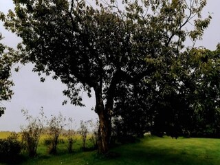 Vakantiehuis Saltum Buitenaudio-opname 14