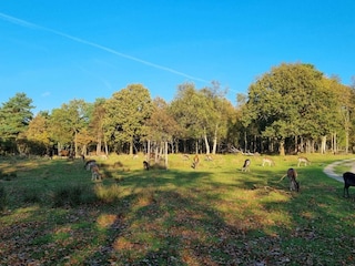 Holiday house Brenderup  18