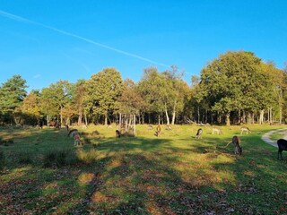 Maison de vacances Brenderup  18