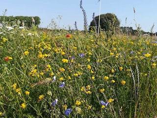 Vakantiehuis Ydø  12