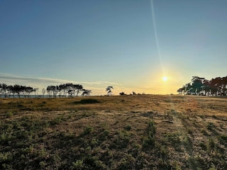 Vakantiehuis Ydø  13