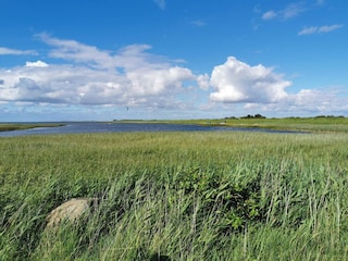Vakantiehuis Ydø  15