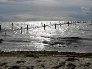 Casa per le vacanze Ydø  13