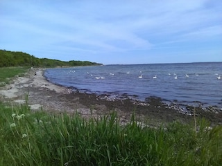 Vakantiehuis Enø  9