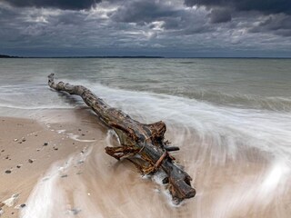 Vakantiehuis Asperup  15