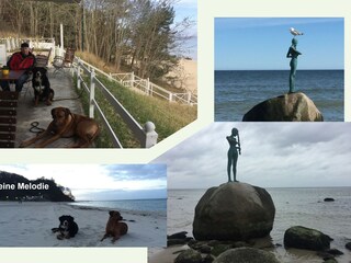 Kleine Melodie an der Ferienwohnung Freibeuter Sellin