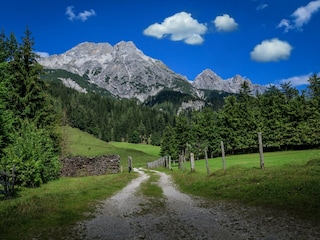 Wandern