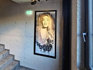 Casa de vacaciones Aschau im Zillertal Características 16