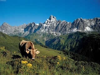 Casa per le vacanze Gaschurn Ambiente 28