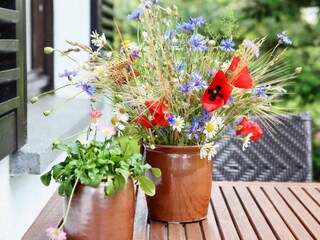 Casa per le vacanze Drebach Registrazione all'aperto 4