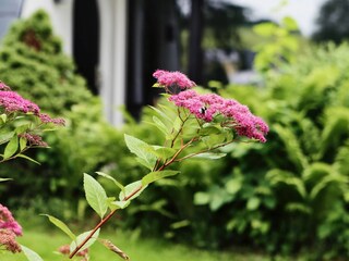 Casa per le vacanze Drebach Registrazione all'aperto 9