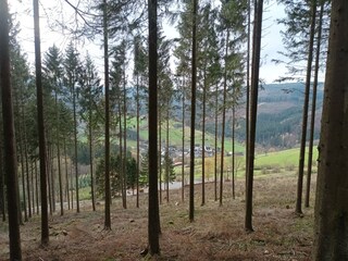 Wälder