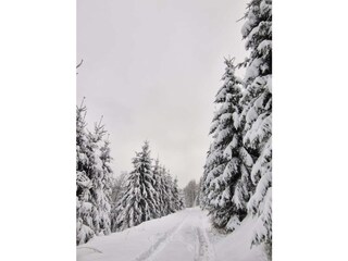 Wintertraum