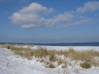 Prerow Nordstrand