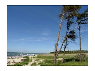 Prerow Weststrand