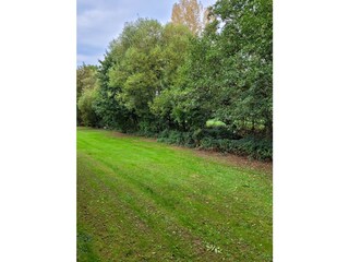 Aussicht an der Lieser ( Fluss)