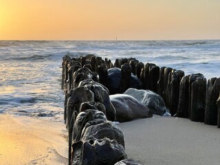 Maison de vacances Westerland Environnement 31