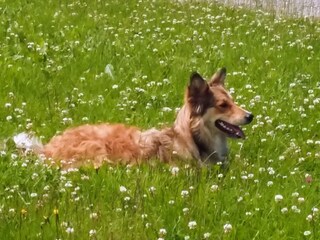 Holiday apartment Kappeln (Stadt) Environment 34