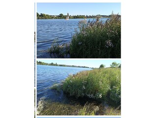 Naturnahe Touren an der Schlei