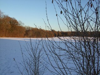 Holiday apartment Kappeln (Stadt) Environment 37