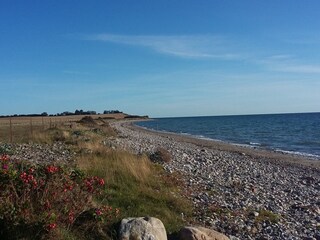 Holiday apartment Kappeln (Stadt) Environment 30