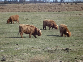 An der Birk - Raum für Flora und Fauna