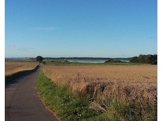 Wander- und Fahrradweg bei Schönhagen