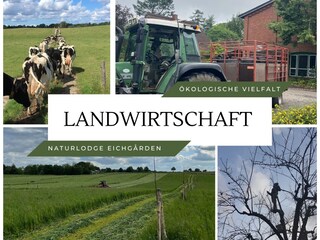 Familiengeführte ökologische Landwirtschaft