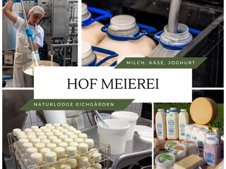 Farm dairy: milk, cheese, yogurt