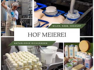 Hofmeierei: Milch, Käse, Joghurt