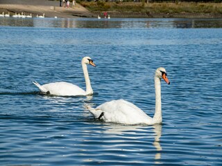 Apartment Welt Outdoor Recording 11