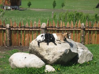 Fattoria Olang Registrazione all'aperto 5