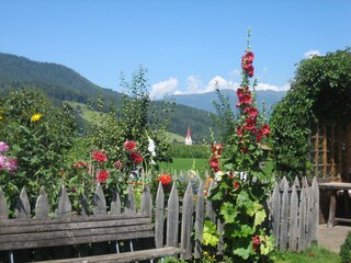 Fattoria Olang Registrazione all'aperto 4
