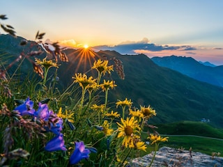 Ferienhaus Aschau im Zillertal Umgebung 20