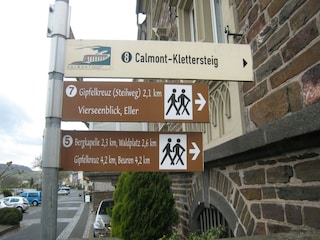 Ferienhaus Bremm Umgebung 29