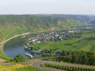 Ferienhaus Bremm Umgebung 36