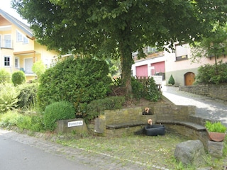 Ferienhaus Bremm Umgebung 31