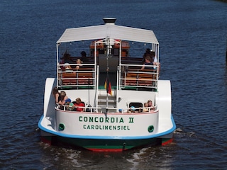 Raddampfer Concordia II