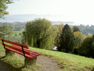 Vakantieappartement Lindau am Bodensee Omgeving 28