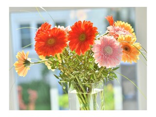 Apartamento de vacaciones Lindau am Bodensee Características 7