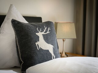 Appartamento per vacanze Garmisch-Partenkirchen Caratteristiche 17