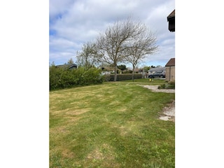 Großes Grasfeld im Garten
