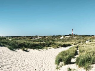 Amrums Dünenlandschaft mit Leuchtturm