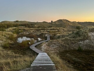 Amrum - Dünenlehrpfad bei Wittdün