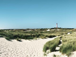 Amrum - Dünenlandschaft mit Leuchtturm