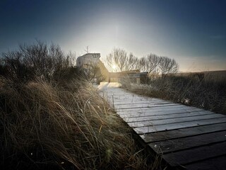 TIDE4 Amrum - Aussenbereich mit Strandkorb