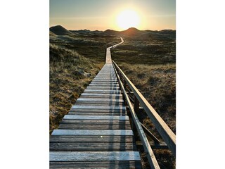 Amrum - auf dem Bohlenweg zur "Himmelsleiter"
