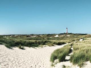 Amrum - Dünenlandschaft und Leuchtturm