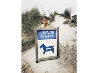 Amrum - hier geht's zum Hundestrand