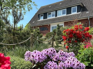 TIDE4 Amrum - Aussenansicht